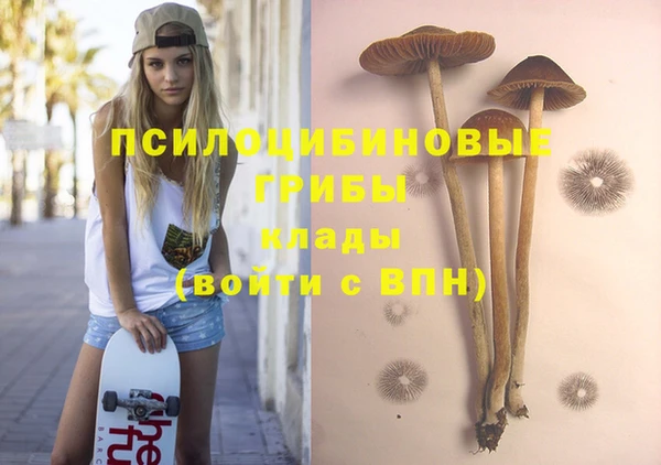 мескалин Арсеньев