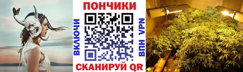Марихуана конопля Купить закладки Лодейное Поле